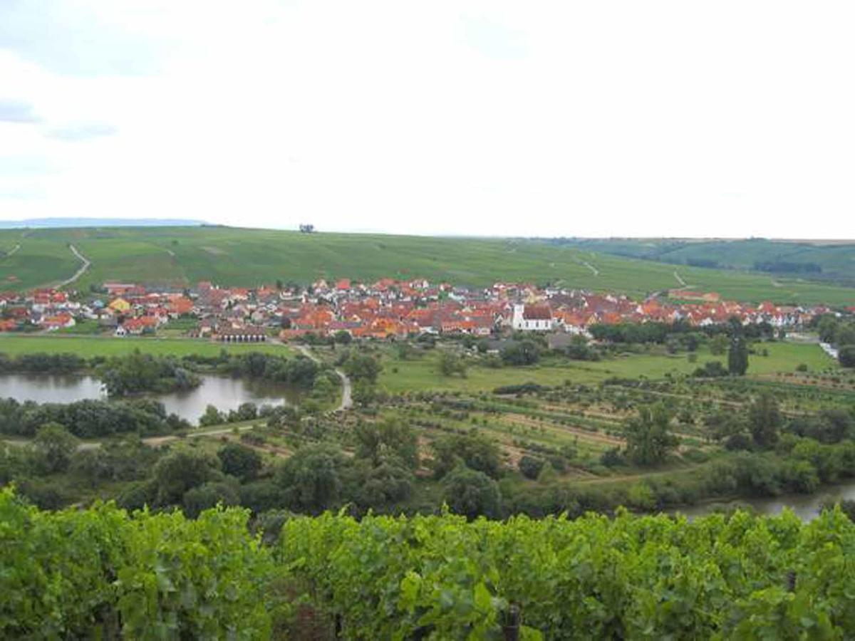 Ferien- Und Winzerhof Ute Braun Apartman Nordheim am Main Kültér fotó