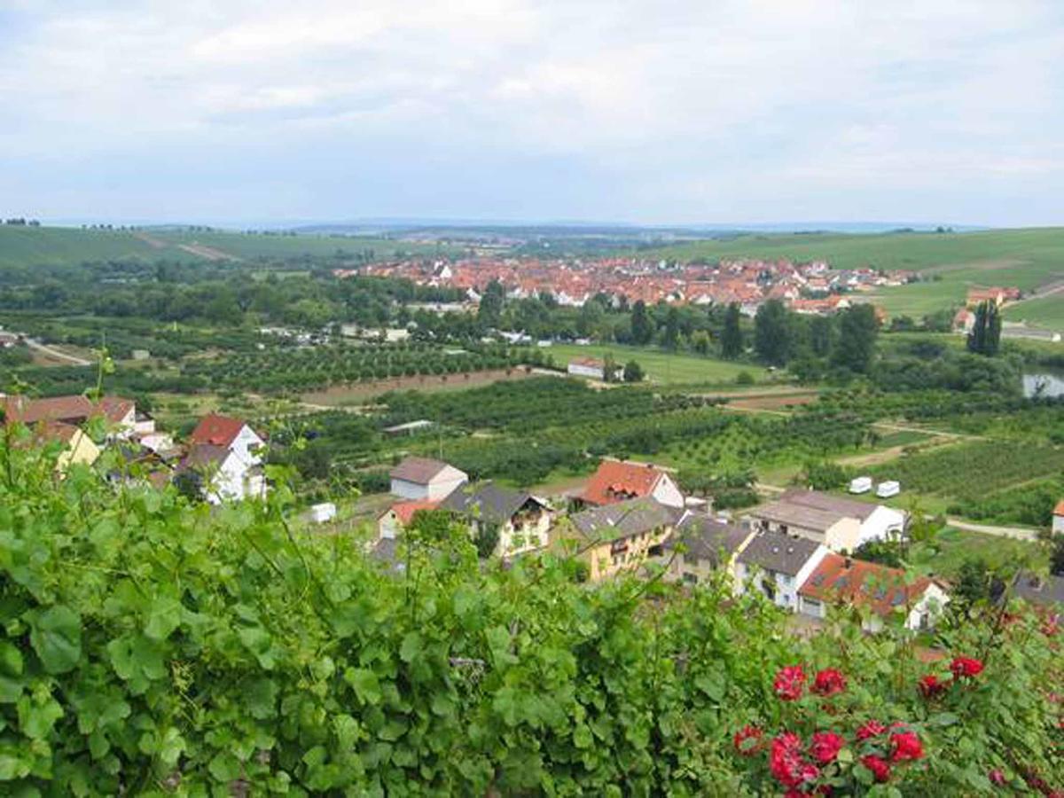 Ferien- Und Winzerhof Ute Braun Apartman Nordheim am Main Kültér fotó